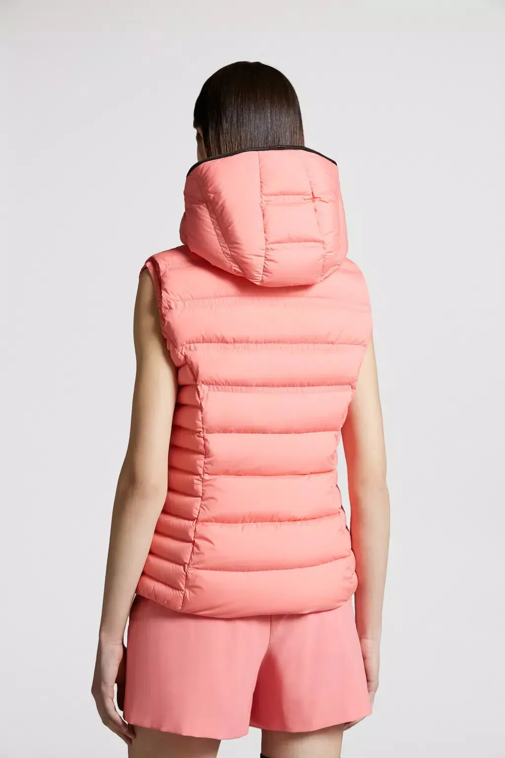 Aliterse Down Vest