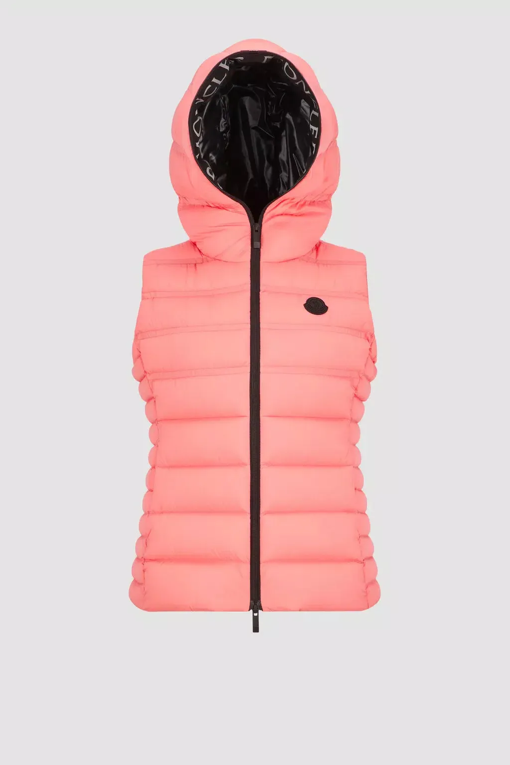 Aliterse Down Vest