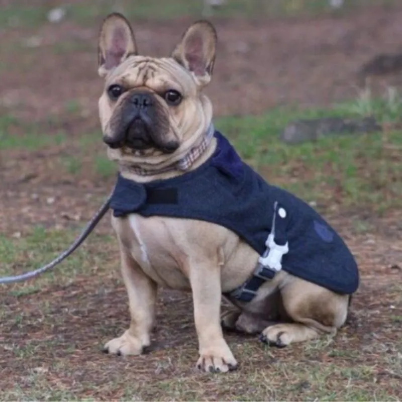 Navy Blue Tweed Dog Coat