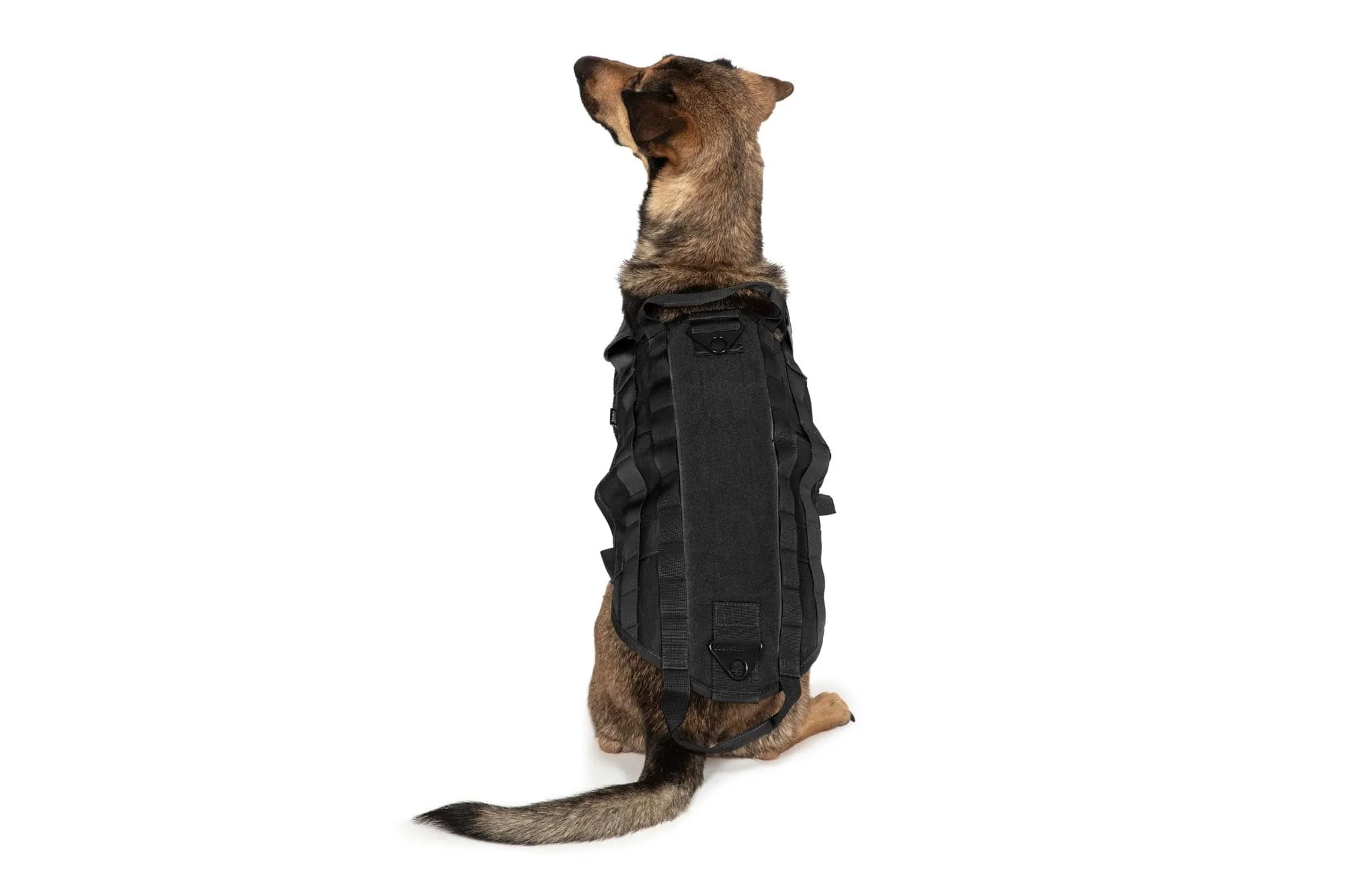 Tactical Dog Vest - Black