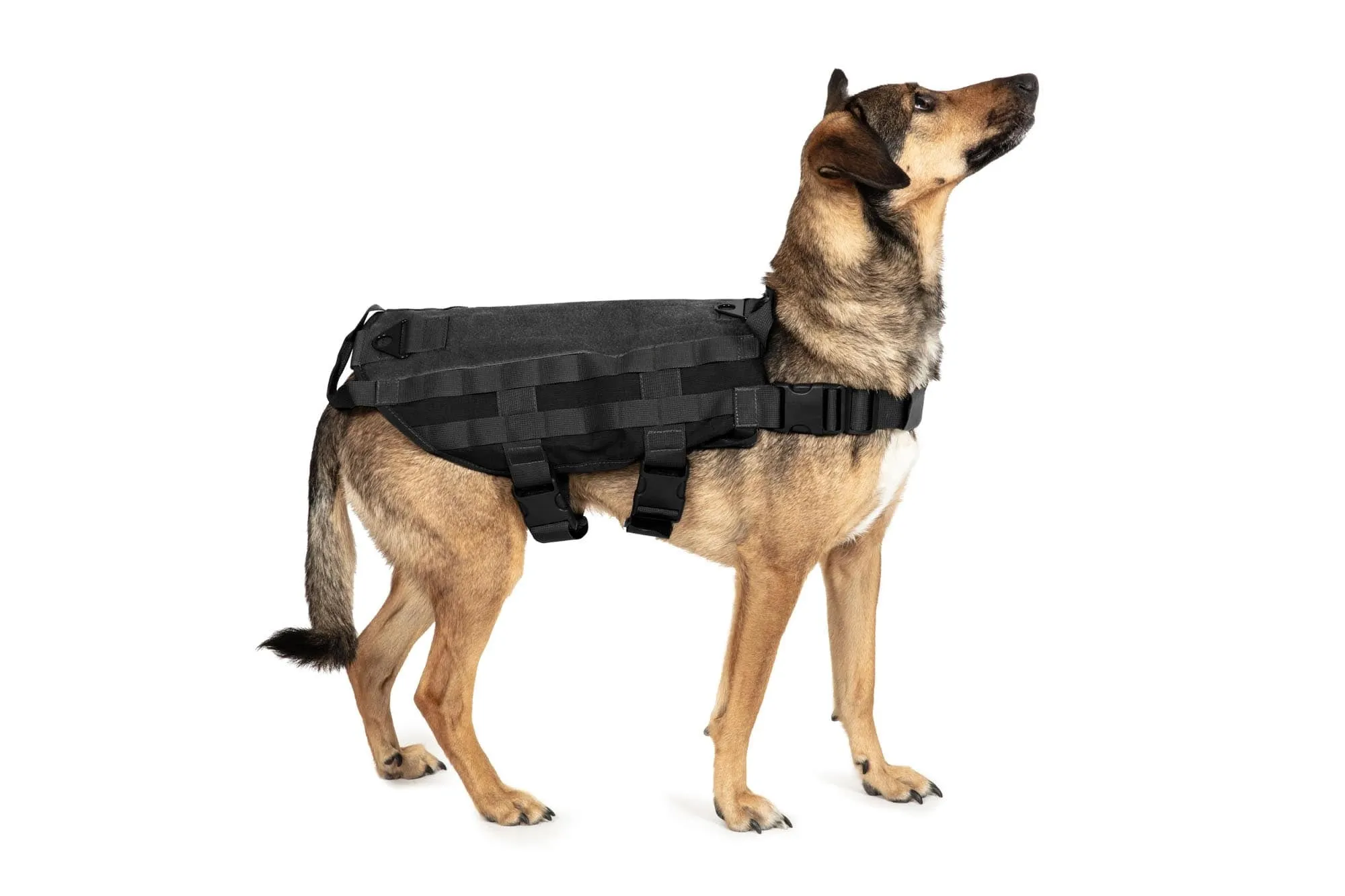 Tactical Dog Vest - Black